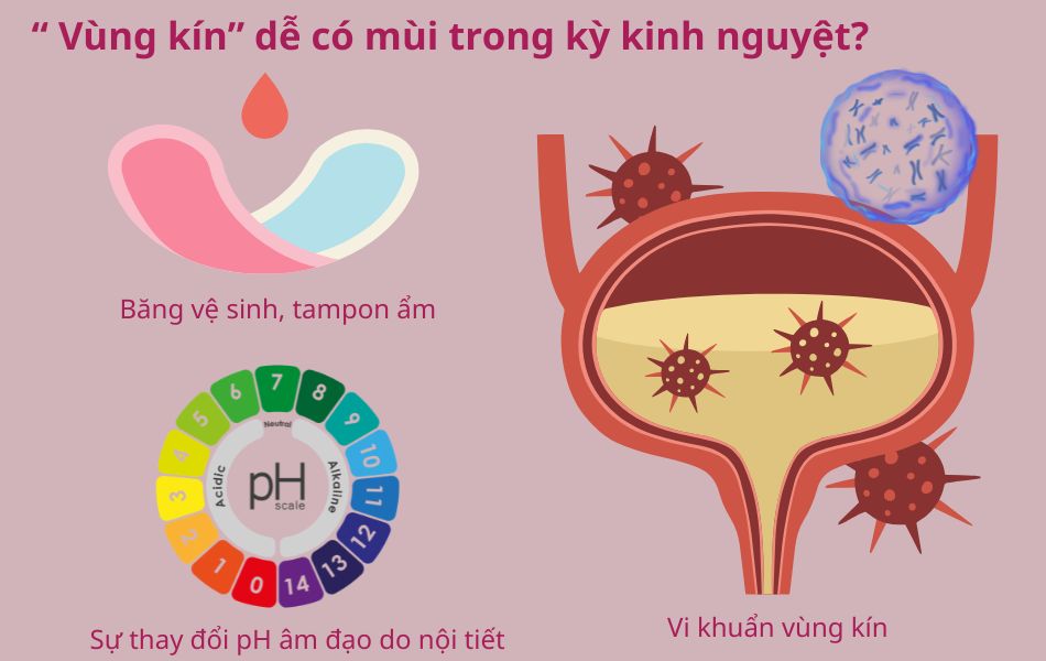 Có nên dùng nước hoa vùng kín khi đang trong kỳ kinh nguyệt?