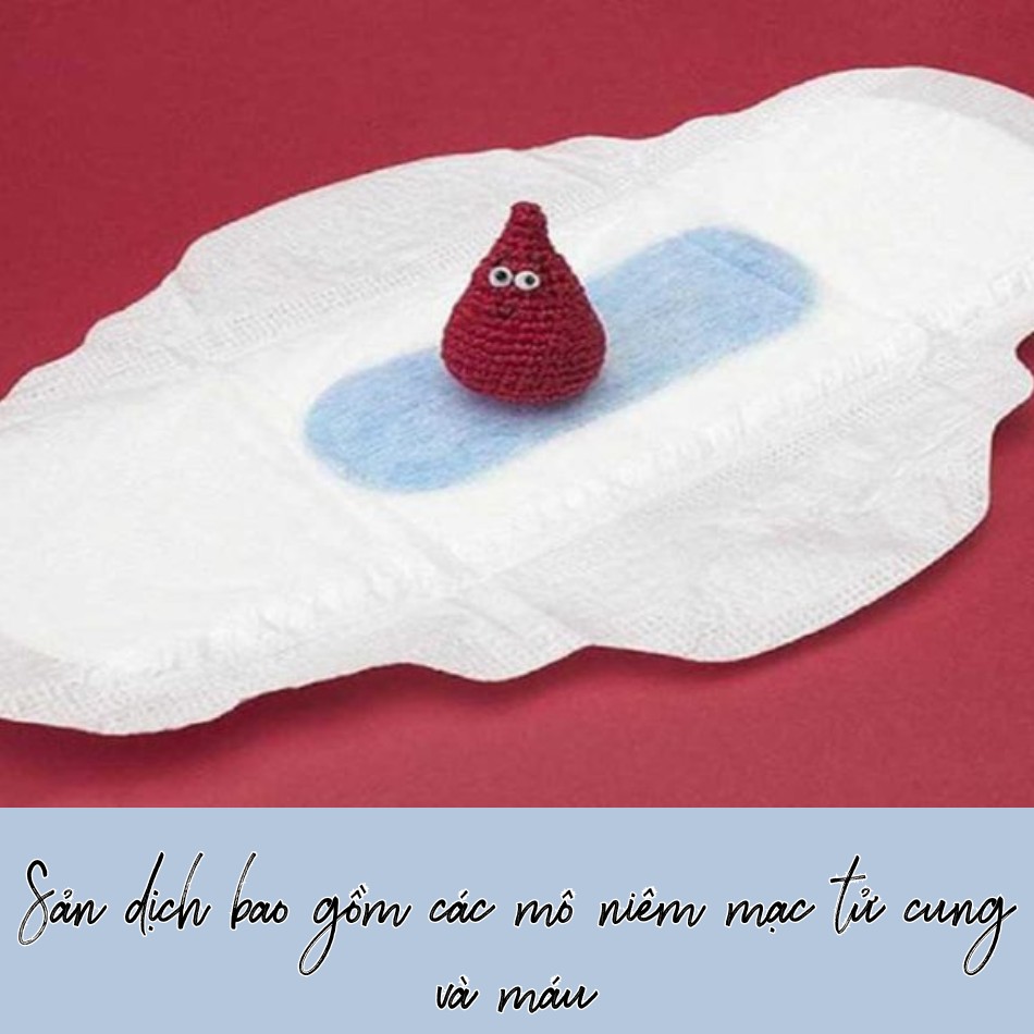 Sản dịch là hỗn hợp máu và mô niêm mạc tử cung thoát ra ngoài sau sinh.